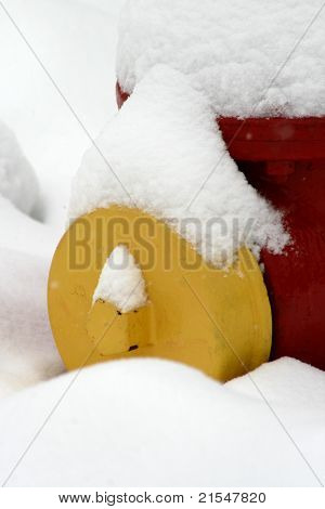 Fuego y nieve