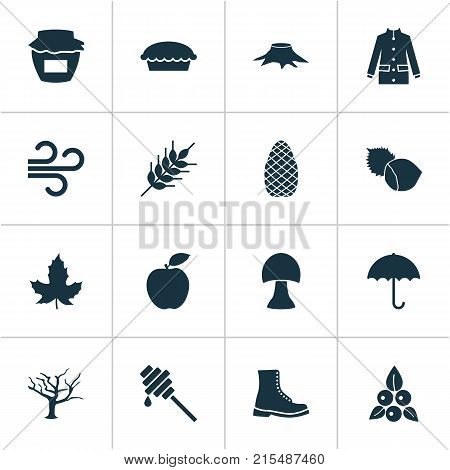 Seasonal icons set with timber, filbert, apple and other cedar elements. Isolated vector illustration seasonal icons.