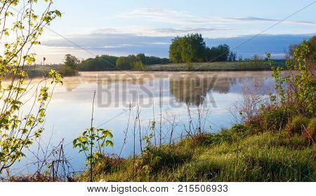 Nature of Central Russia. Fresh summer morning.