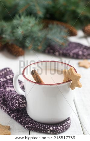 Cocoa Or Hot Chocolate With Cinnamon And Gingerbread On A Background With Mittens, Fir Branches And
