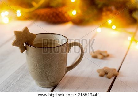 Cocoa Or Hot Chocolate With Cinnamon And Gingerbread On A Background With Spruce Branches, Cones And