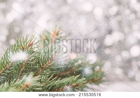 Silver Christmas Background