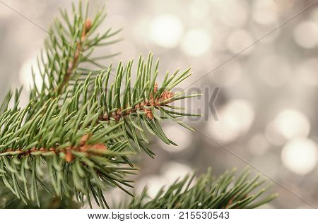 Silver Christmas Background