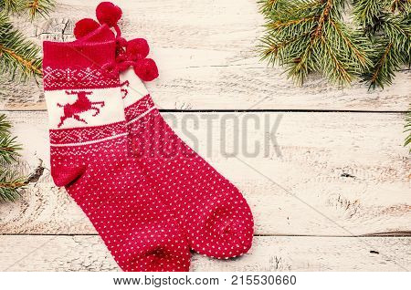 Christmas Composition With Fir Tree