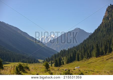 Beautiful ravine and mountains forest, peak Altyn Arashan