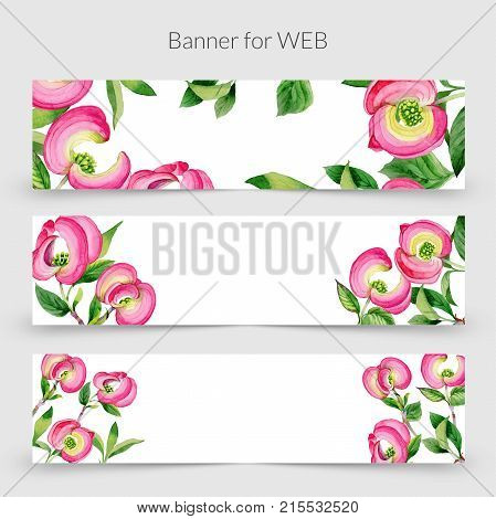 Wildflower cornos Florida flower frame in a watercolor style. Full name of the plant: cornos. Aquarelle wild flower for background, texture, wrapper pattern, frame or border.
