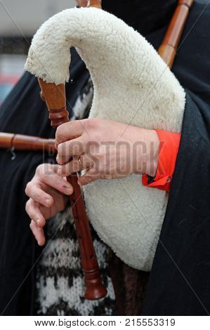 Bagpiper Playing The Bagpipes Covered By Sheepskin