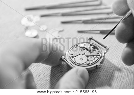 Watchmaker is repairing a vintage automatic watch.