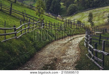 Transylvanian Country Road