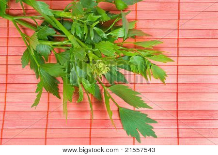 Lovage สด