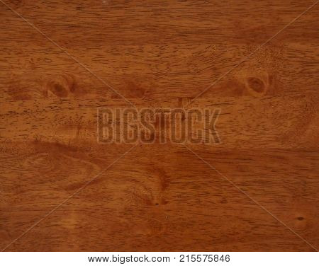 Wood texture with natural pattern. Background dark.