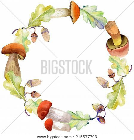 Forest acorn wreath in a hand drawn watercolor style. Aquarelle acorn for background, texture, wrapper pattern, frame or border.
