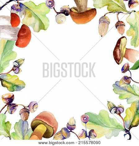 Forest acorn frame in a hand drawn watercolor style. Aquarelle acorn for background, texture, wrapper pattern, frame or border.