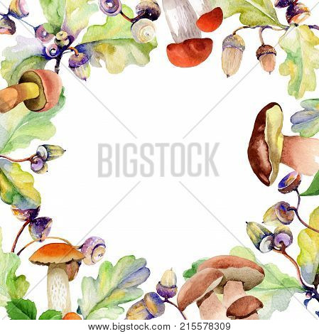 Forest acorn frame in a hand drawn watercolor style. Aquarelle acorn for background, texture, wrapper pattern, frame or border.