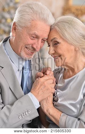 Portrait of an alegant elderly couple ear christmas tree