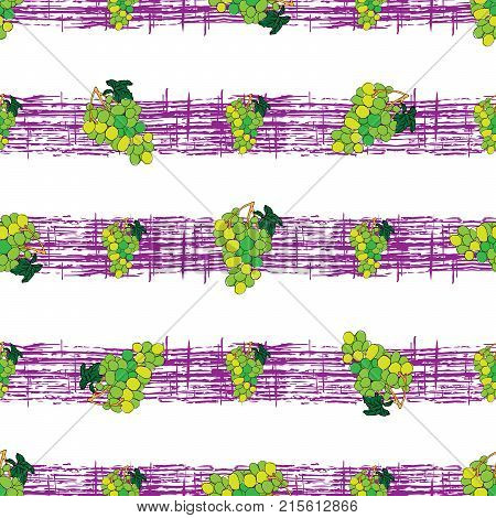 Seamless pattern with grapes on violet strips hand drawn background illustration.