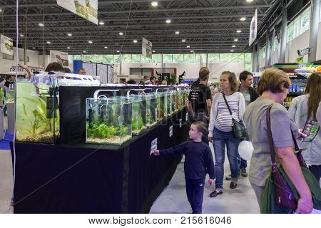 Kiev Ukraine 09022017: Aquaterrashow 2017. Stand with aquariums of the biotop contest