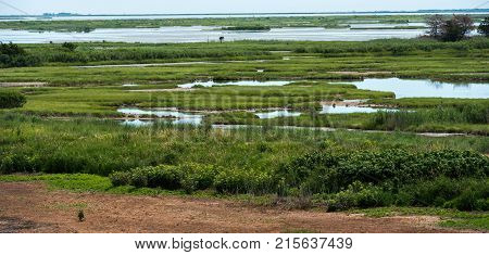 A panoramic view of the green grasses and blue waters of the Marshlands.