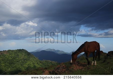 Beautiful sunset in the volcano Telica, Nicaragua