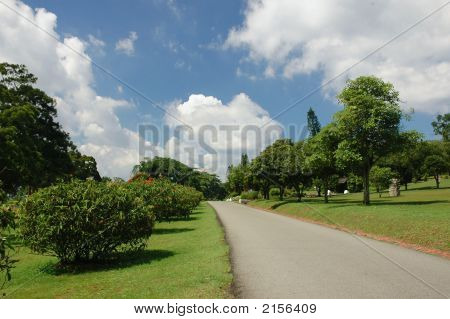 Pathway Landscape