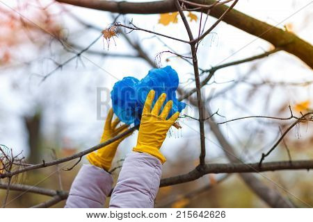 A woman's hand in a yellow, rubber glove, stretches to a branch on a tree to remove the package.
