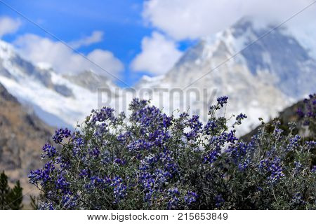 Hiking in laguna 69, Huascaran national park,