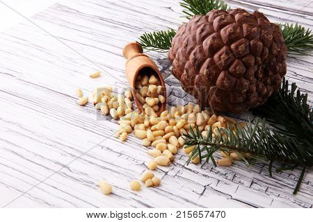 spoon with pine nuts with pinoli pine cones in the background.