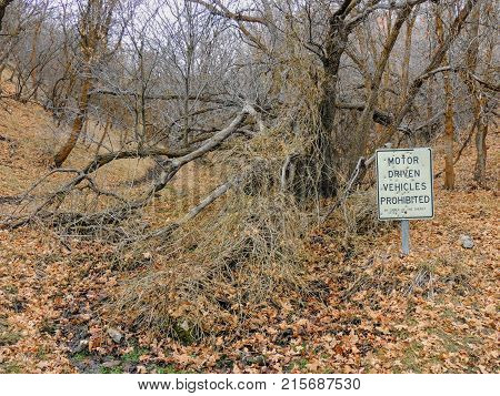 Motor Driven Vehicles Prohibited by order of the Sheriff sign with bullet holes, in forest trail on the Yellow Fork and Rose Canyon Trails in Oquirrh Mountains on the Wasatch Front in Salt Lake County Utah USA.