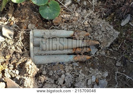 old bullets from first world war in the battle field unearthed after a heavy rain; the bullets are rusted but still dangerous