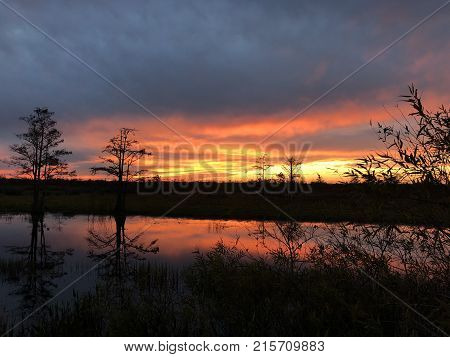 Swamp Sunsets In The Marsh With Ripples In The Water