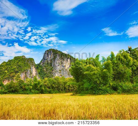 Rice field and mountains. Beautiful rural landscape. Luang Prabang. Laos.