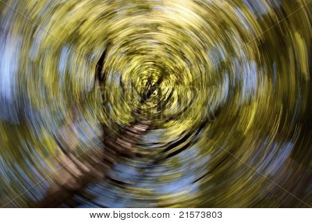 Movimento Radial Blur Branch