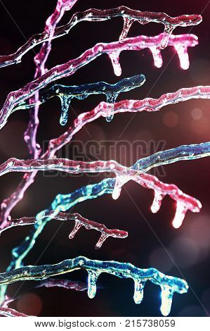 Frosen Icicles On Tree Branches Night Sceen