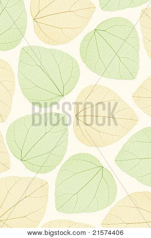 Feuilles transparentes