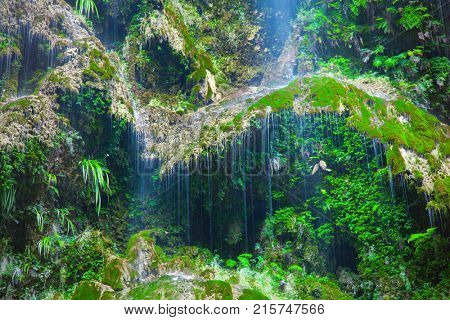 Waterfall in Oslob, Philippines