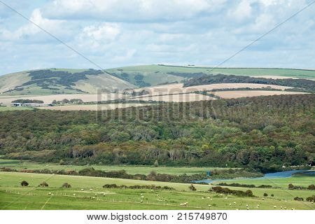 Friston Forest and Fore Down across the Cuckmere Valley in Sussex.