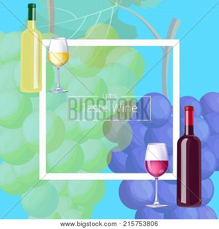 Let s taste vine postcard with bottles and filled glasses on corners of bold white frame. Background of vector illustration is huge grape bunches