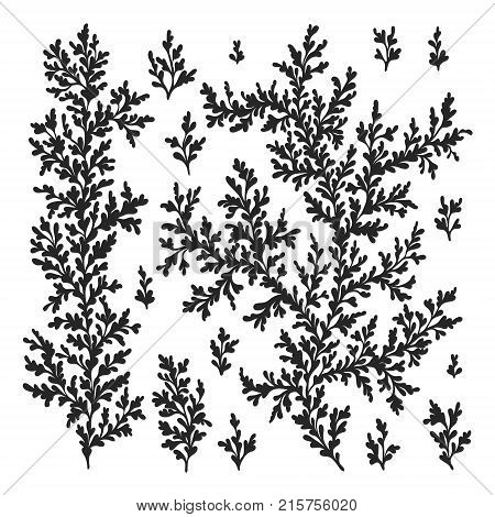 Hand drawn natural vector elements for design