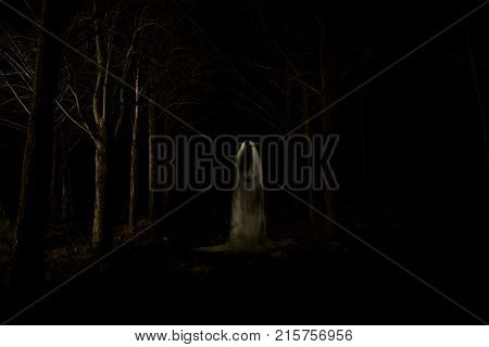 Ghost In The Dark Forest