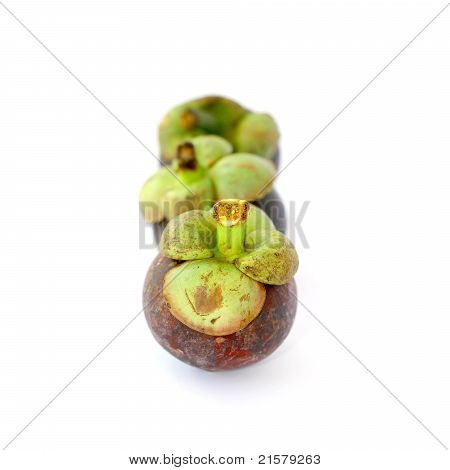 mangostan