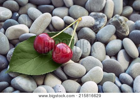 Fresh organic red cherries on a green leaf on stone background of gray round smooth sea pebbles