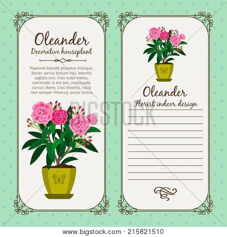 Vintage label template with potted flower oleander, vector illustration