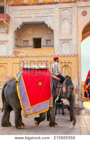 Amber, India - November 13: Unidentified Man Rides Decorated Elephant In Jaleb Chowk In Amber Fort O