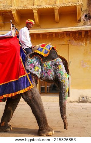 Amber, India - November 13: Unidentified Man Rides Decorated Elephant In Jaleb Chowk In Amber Fort O