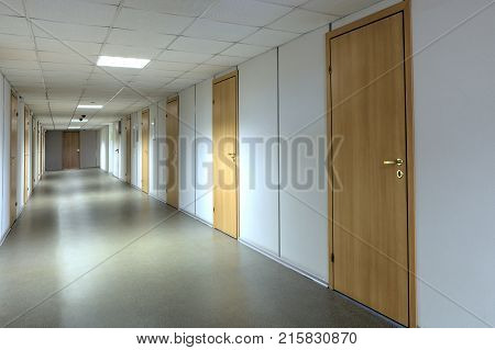 Empty office corridor with many doors of light wood.