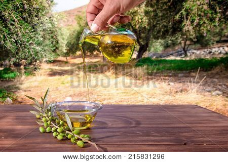 Bottle pouring cretan extra virgin olive oil in a bowl on wooden table at an olive tree field, Greece.