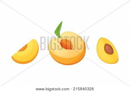 Collection of isolated cut and whole vector peaches. Vector apricot illustration in curtoon style.