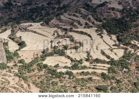 Field Terraces In The Ethiopian Mountains