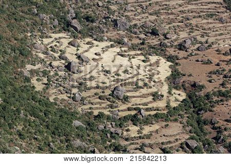 Field Terraces In The Ethiopian Mountains