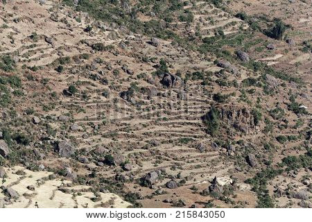 Field Terraces In The Ethiopian Mountains